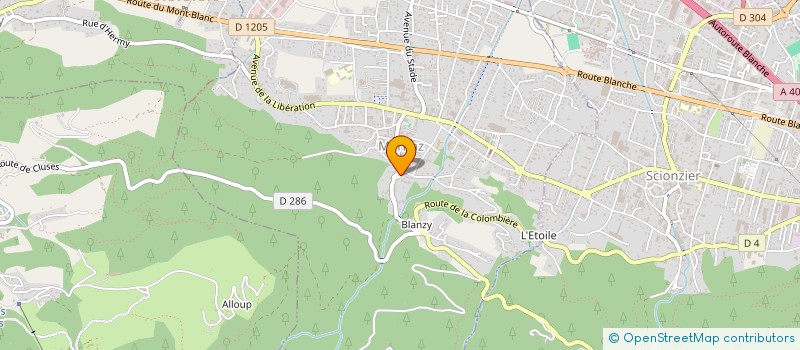 localisation de l'entreprise LES FLAM  MARNAZ