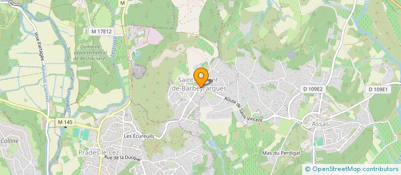 localisation de l'entreprise LES FLAMANTS ROSES  SAINT-VINCENT-DE-BARBEYRARGUES