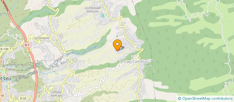 localisation de l'entreprise LES FLAMBOYANTS à SAINT-LEU