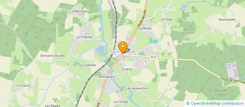 localisation de l'entreprise LES FLEURS D'HELENE à SAINT-ETIENNE-DU-BOIS