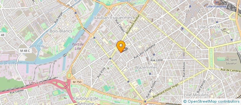 localisation de l'entreprise LES FLEURS DE RAVENELLE à LILLE