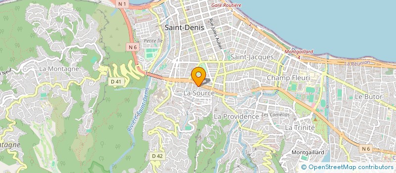 localisation de l'entreprise LES FLEURS DU BIEN à SAINT-DENIS