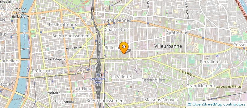 localisation de l'entreprise LES FLEURS DU NIL à LYON