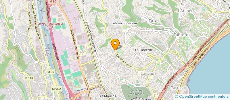 localisation de l'entreprise LES FLEURS DU SUD à NICE