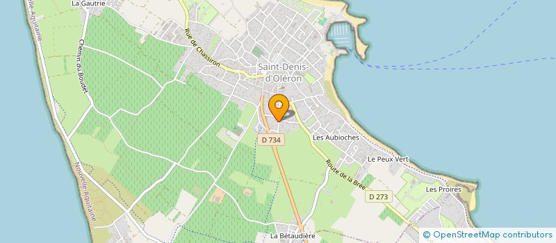 localisation de l'entreprise LES FLEURS DYONISIENNES  SAINT-DENIS-D OLERON