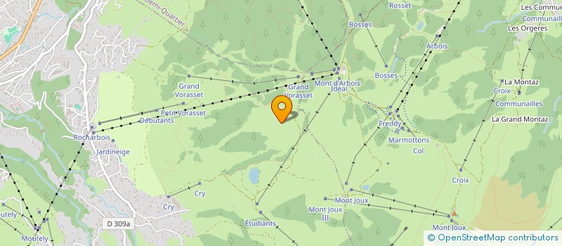 localisation de l'entreprise LES FLOCONS  MEGEVE