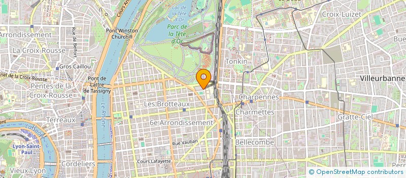 localisation de l'entreprise LES FLOCONS DE NEIGE  LYON