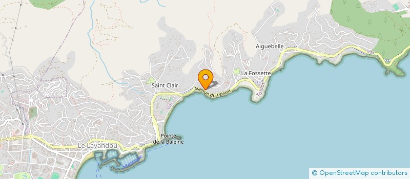 localisation de l'entreprise LES FLORALIES à LE LAVANDOU