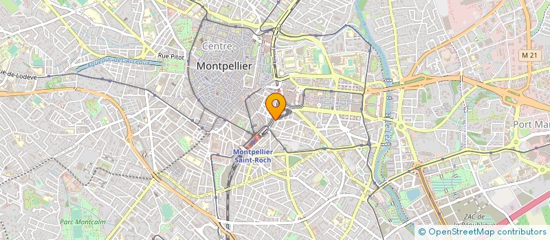 localisation de l'entreprise LES FLORES à MONTPELLIER