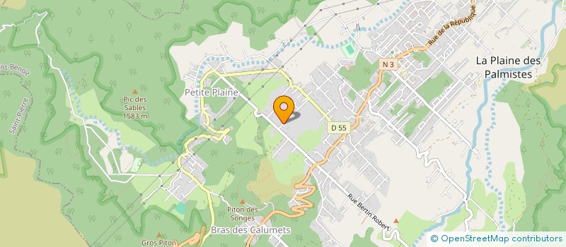 localisation de l'entreprise LES FOUGERES  LA PLAINE-DES-PALMISTES