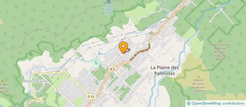 localisation de l'entreprise LES FOUGERES  LA PLAINE-DES-PALMISTES