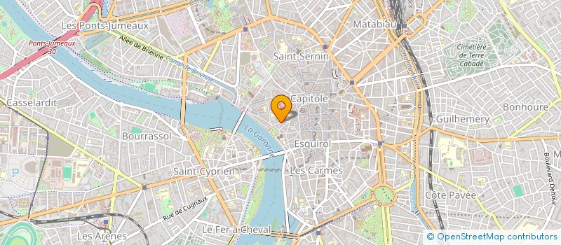 localisation de l'entreprise LES FRELONS VERTS à TOULOUSE