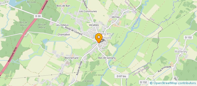 localisation de l'entreprise LES FROMAGES DU REVERMONT à SAVIGNY-EN-REVERMONT