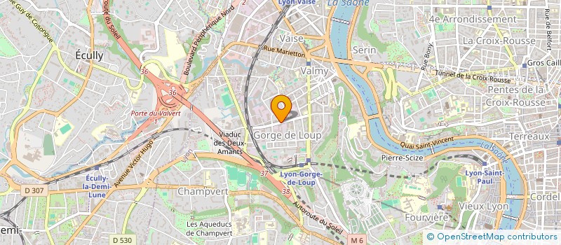 localisation de l'entreprise LES GASTRONOMIENS  LYON