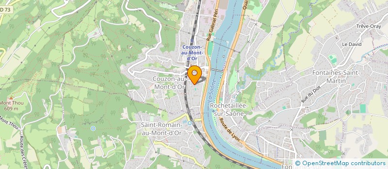 localisation de l'entreprise LES GEMEAUX  COUZON-AU-MONT-D'OR