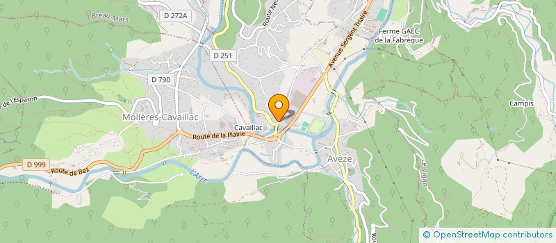 localisation de l'entreprise LES GENETS  AVEZE