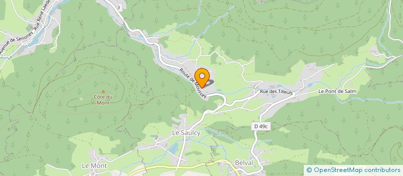 localisation de l'entreprise LES GENETS  LE SAULCY