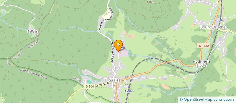 localisation de l'entreprise LES GLYCINES  SAALES