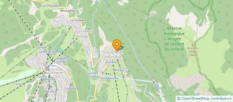 localisation de l'entreprise LES GLYCINES à COURCHEVEL