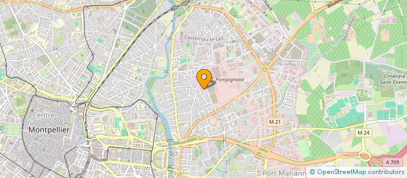 localisation de l'entreprise LES GOELANDS DU PIC à MONTPELLIER
