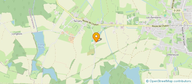 localisation de l'entreprise LES GONES  PIERRE-DE-BRESSE