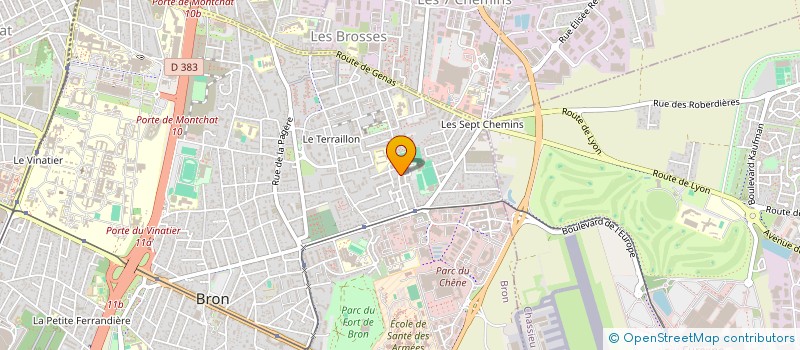 localisation de l'entreprise LES GONES DE MOULIN à BRON