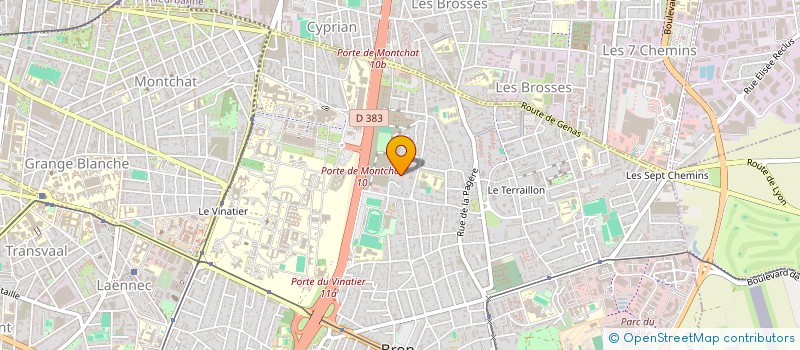 localisation de l'entreprise LES GONES DU NOIR à BRON