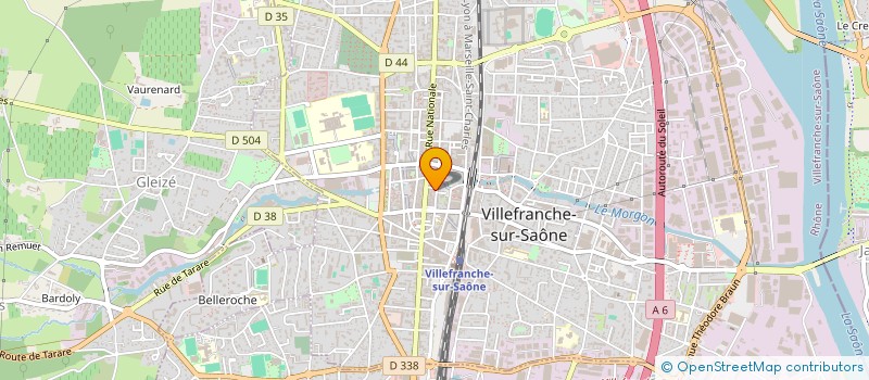 localisation de l'entreprise LES GONES DU PAYSAGE à VILLEFRANCHE-SUR-SAONE