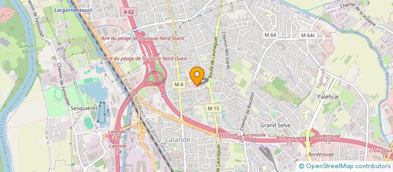 localisation de l'entreprise LES GOURMANDS DISENT  TOULOUSE