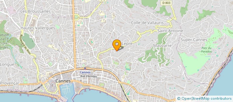 localisation de l'entreprise LES GOURS D OLIVE à CANNES