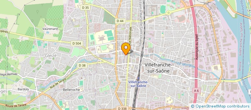 localisation de l'entreprise LES GRANDS GOURMETS  VILLEFRANCHE-SUR-SAONE