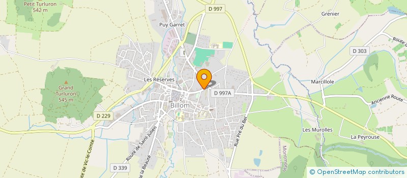 localisation de l'entreprise LES GRANDS GOUSSIERS D'AUVERGNE  BILLOM