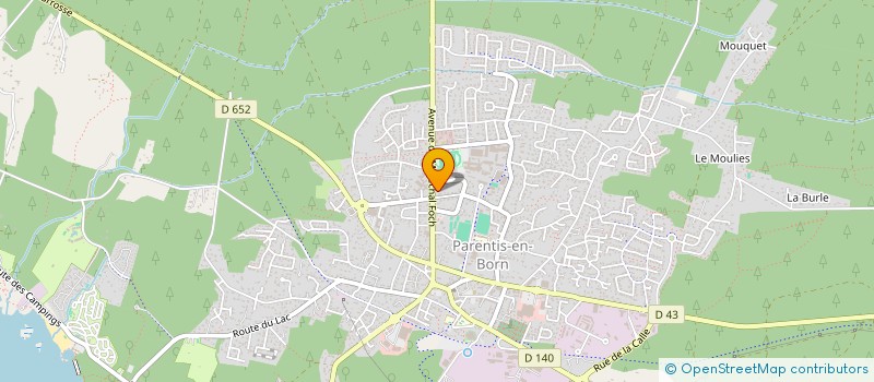 localisation de l'entreprise LES GRANDS LACS  PARENTIS EN BORN