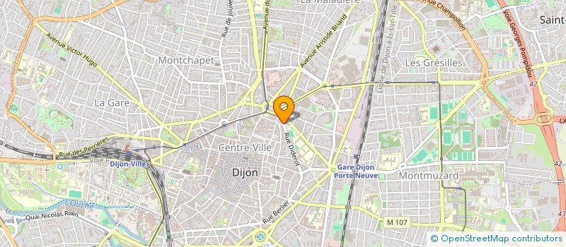 localisation de l'entreprise LES GRANDS YEUX  DIJON