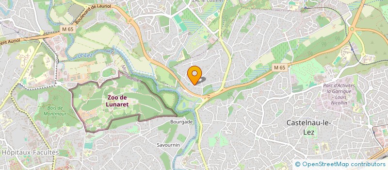 localisation de l'entreprise LES GRIVES  CASTELNAU-LE-LEZ