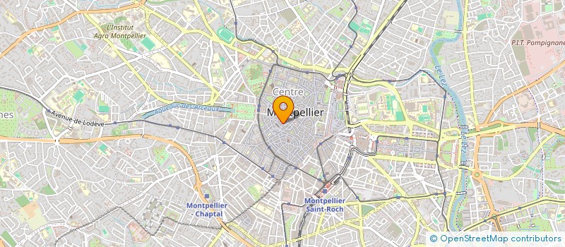localisation de l'entreprise LES GROS MOTS à MONTPELLIER