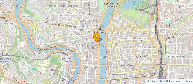 localisation de l'entreprise LES GROSSES DONDONS à LYON