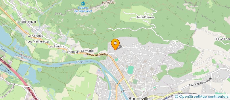 localisation de l'entreprise LES GUEPARDS  BONNEVILLE