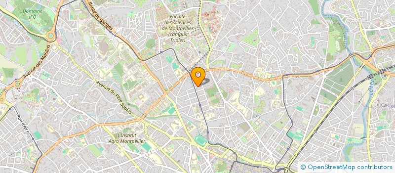 localisation de l'entreprise LES HAUTS DE BOUTONNET à MONTPELLIER