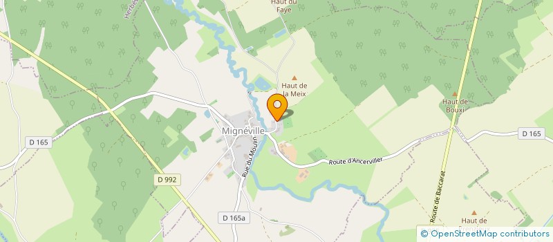 localisation de l'entreprise LES HIRONDELLES  MIGNEVILLE