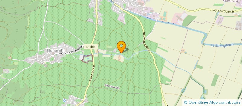 localisation de l'entreprise LES HORIZONS VERTS  RIBEAUVILLE