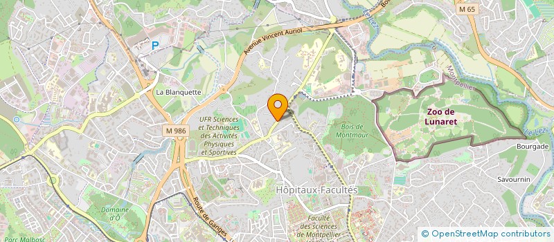 localisation de l'entreprise LES HOUBAHOUBA à MONTPELLIER
