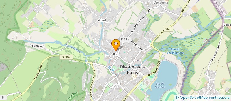 localisation de l'entreprise LES HOUCHES à DIVONNE-LES-BAINS