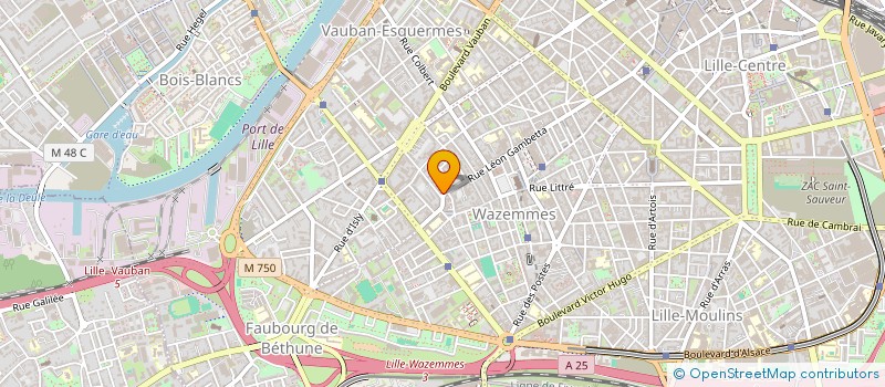 localisation de l'entreprise LES HYLEIADES à LILLE