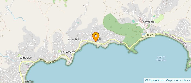 localisation de l'entreprise LES ILES D'OR à LE LAVANDOU