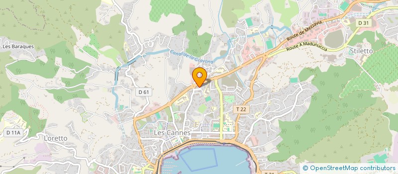 localisation de l'entreprise LES ILIENS à AJACCIO