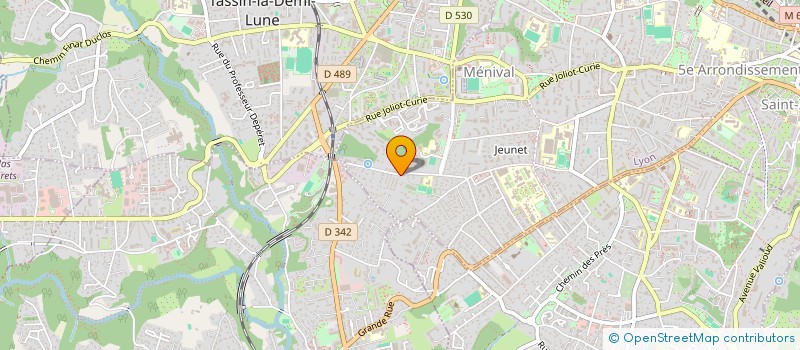 localisation de l'entreprise LES INDISCIPLINES à LYON