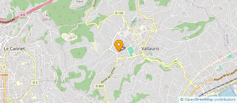 localisation de l'entreprise LES INFIRMIERES DU COEUR 06 à VALLAURIS