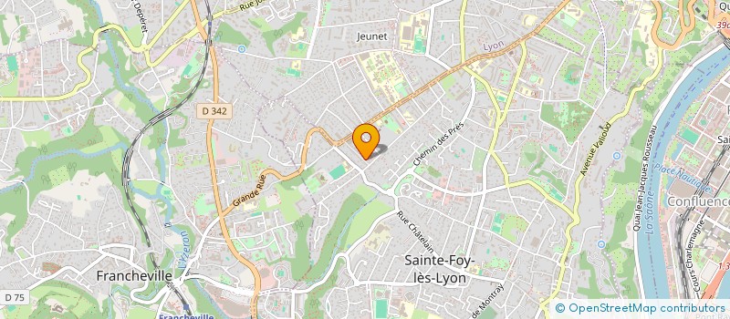 localisation de l'entreprise LES INSEPARABLES  LYON