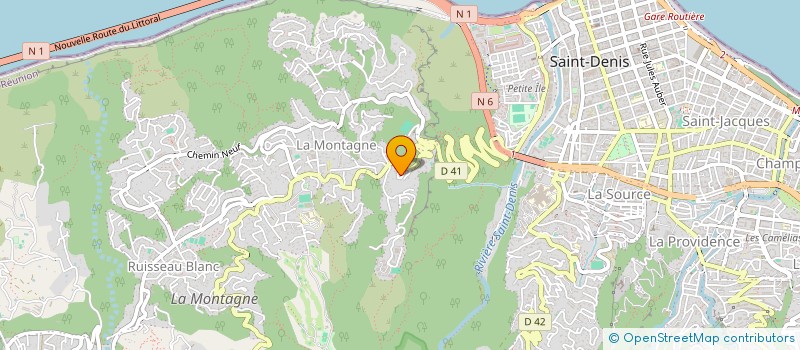 localisation de l'entreprise LES IRIS à SAINT-DENIS